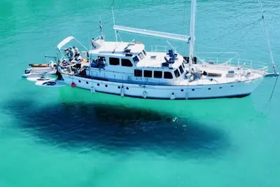 Image de Island Adventure Charters Baja