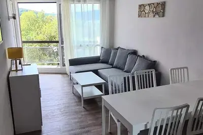 Image de Très joli deux pièces rénové pied des pistes