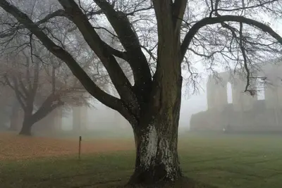 Image de Perfect Town House with parking