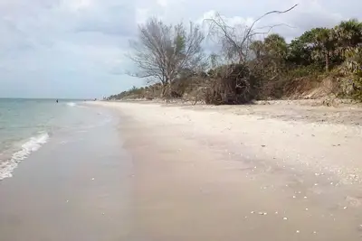 Image de Lemon Bay nature preserve, bike along intracoastal Shamrock Park beaches closeby