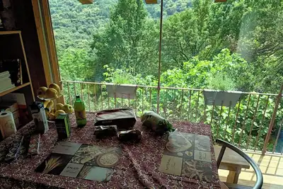 Image de The Room on the Hill