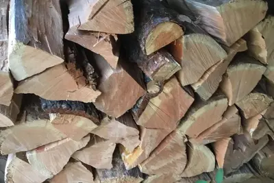 Image de Cozy Getaway