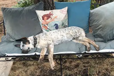 Image de Mountain Breeze - Pet Friendly Read Our Reviews