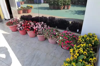 Image de Fully Furnished 1bhk Deluxe Suite Sa2 - room, lobby, kitchen, bathroom