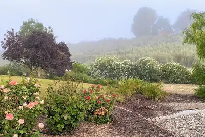 Image de Vista Vine Cottage-Vista Views of Olive Orchards and Vineyards for Miles!