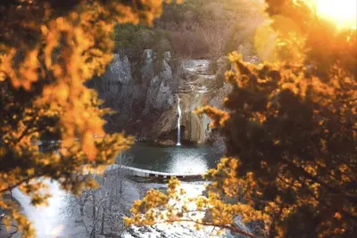 Image de Turner Falls Arbuckle Lake Pool Fire Pit Game Room