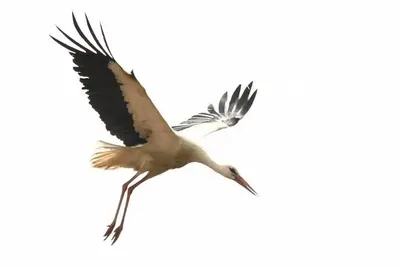 Image de Ferienwohnung/app. für 6 Gäste mit 115m² in Grube