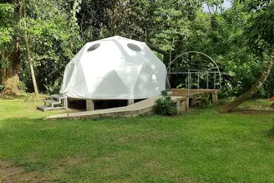 Image de Escapada a Tortuguero