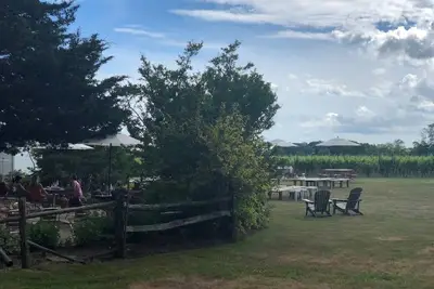 Image de Enjoy Wine Country and Take Walks On Beautiful, Solitary beaches At Sunset