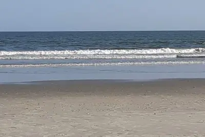 Image de Borders Coastal Carolina University  25 min from  beach. Quiet neighborhood.