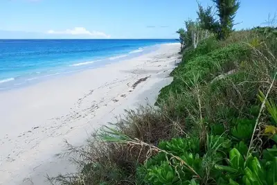 Image de Spectacular Direct Beachfront Condo awaits your arrival!
