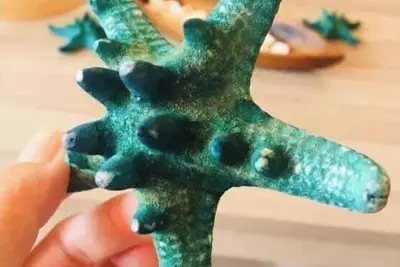 Image de Beautiful Small Studio with Everything! Parking!