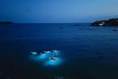 Image de Orchid Del Sol: Beautiful 2br/2ba condo directly on the waters of Cowpet Bay