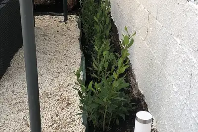 Image de Blue Silence Cottage