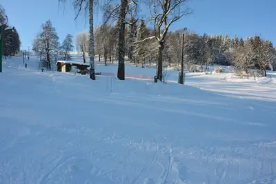 Image de Gîte confortable à Malá Skála avec jardin