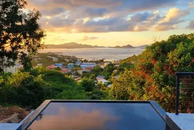 Image de The Salty Turtle, The Salty Turtle