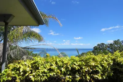 Image de The Blue Bach - Kiwi Quintessential