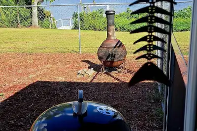 Image de Lake Seminole Cabin on Spring Creek Channel - Covered Dock
