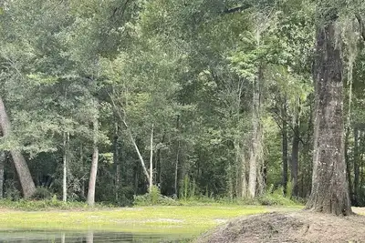 Image de Nature's Beauty on the Pond