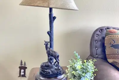 Image de Large, Branson Cabin Decor, Resort, Walk In Level, Pools!