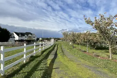 Image de Dungeness Manor in the Heart of the Dungeness Valley