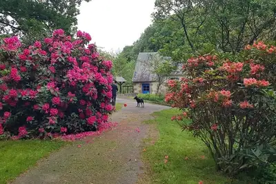 Image de Le Moulin D'Airou
