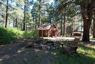 Image de Pet Friendly Cabin on 3. 5 acres between Durango and Purgatory - Fire Pit
