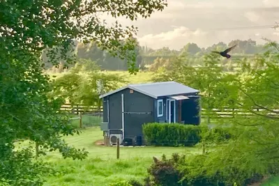 Image de Soak up the Peach & Quiet at an animal Friendly Boutique Farm Cottage