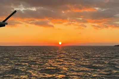 Image de Lakefront Livingston Vibes