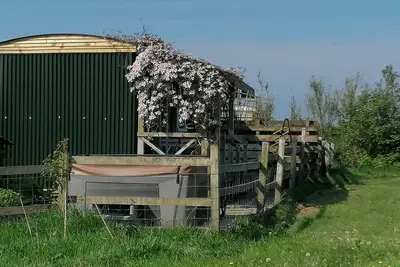 Image de Shepherds Hut with stunning Pembrokeshire hill views
