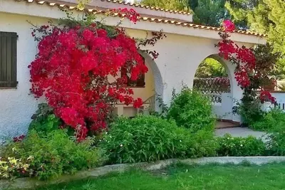 Image de Maison de vacances Calasetta pour 4 - 8 personnes avec 4 chambres à coucher - Ferme