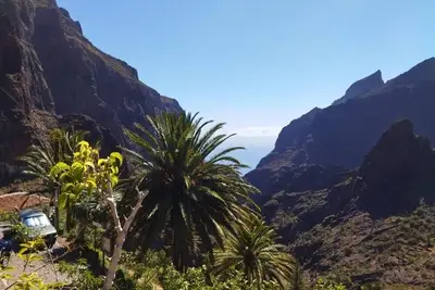 Live Masca Casa Tarucho