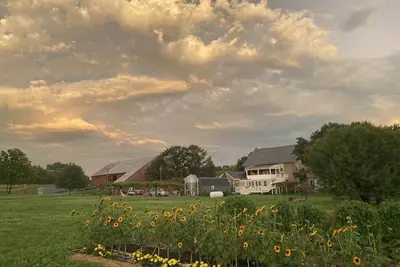 Image de Farm Stay in Amish community
