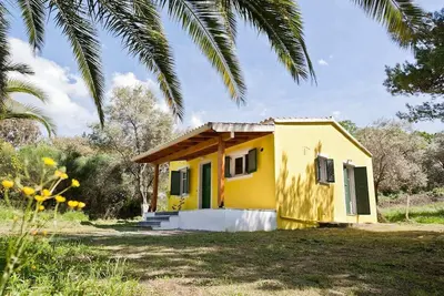 Image de Cute yellow Handmade House with tree garden