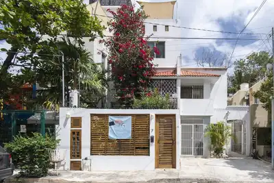 Image de Luxury Private Home with Pool near Mamitas Beach