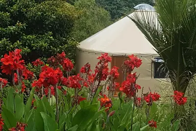 Image de Yurt in Thames