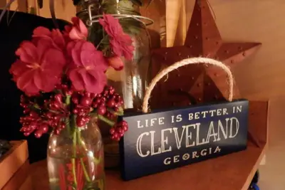 Image de Mountain Retreat Rv and beautiful cabin, Pet friendly #2509044