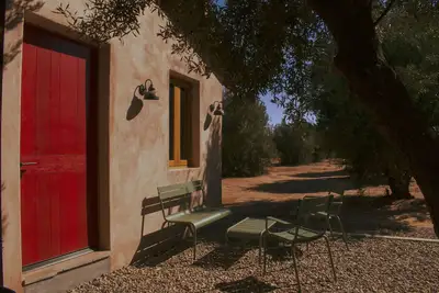 Image de Alma Liebre Viñedos del Valle