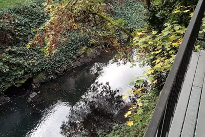 Image de Upstairs 2 Bed 1 Bath Condo with Creek View!