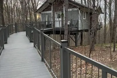 Image de Be at home in the trees.