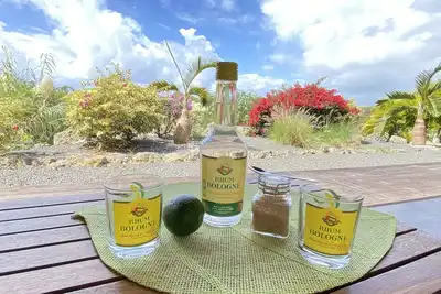 Image de Villa Ti Ma-El, F2 au calme vue mer Sainte-Anne