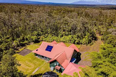 Image de Dancing Ferns in Volcano, Hawaii