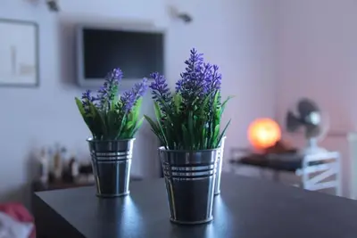 Image de Spacious Duplex In Downtown-Comfort And Location