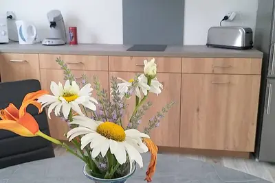 Image de Les Nuits Bonneuilloises