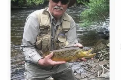 Image de Farm House Cottage! Salmon River Cottage surrounded by woods