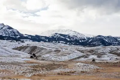 Image de The Electric Peak Lookout