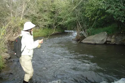 Image de Costilla Creek Fishing Lodge and Guide Service