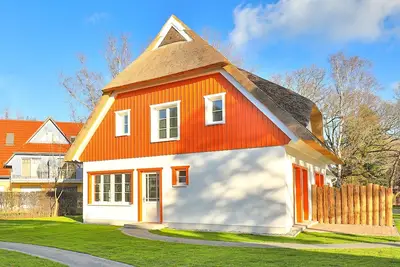 Image de Experience more in the dream garden.