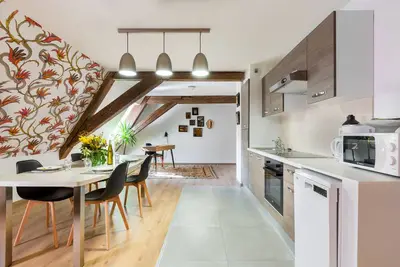 Image de Rhenanus : Hans Sapidus 🐕‍🅿️🗝