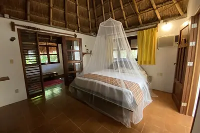 Image de Calle 38 Casa Selva: Beach, Jungles, Fun